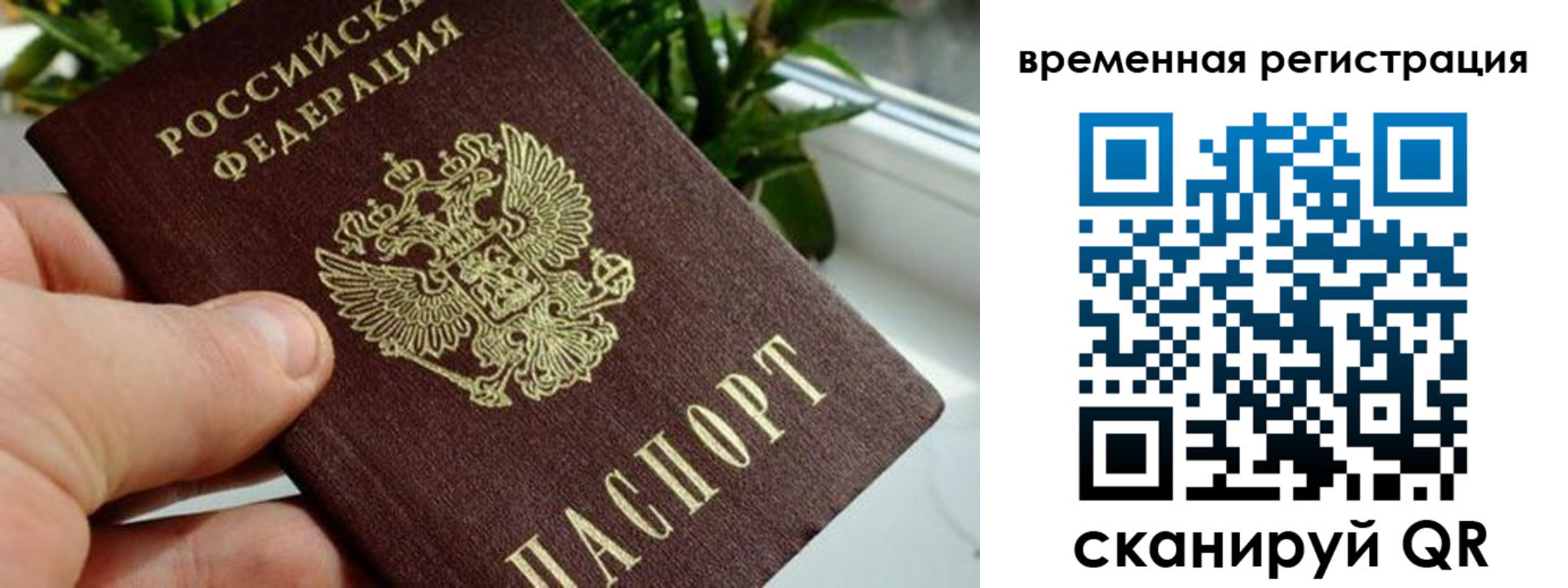 прописка поиск в Чехове
